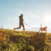 Canicross exercises. Man runs with his beagle dog at sunny morning