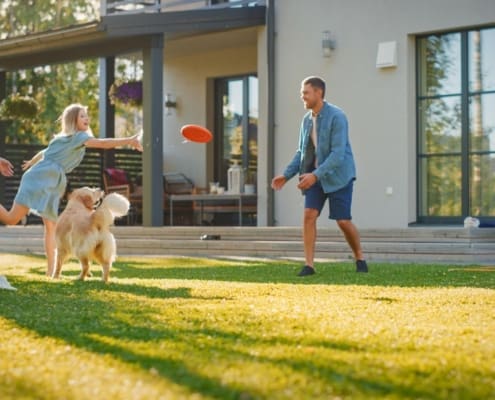 Smiling Beautiful Family of Four Play Fetch flying disc with Happy Golden Retriever Dog on the Backyard Lawn. Idyllic Family Has Fun with Loyal Pedigree Dog Outdoors in Summer House Backyard