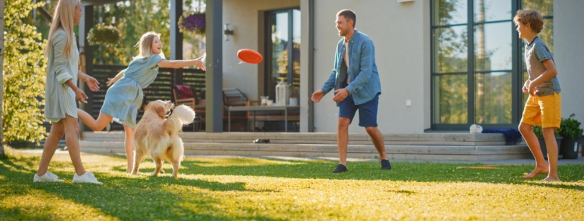 Smiling Beautiful Family of Four Play Fetch flying disc with Happy Golden Retriever Dog on the Backyard Lawn. Idyllic Family Has Fun with Loyal Pedigree Dog Outdoors in Summer House Backyard